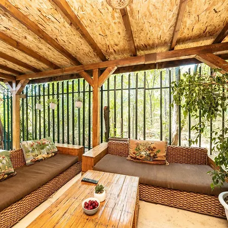 есмералда Kemp