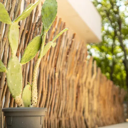 Kemping есмералда Aheloy